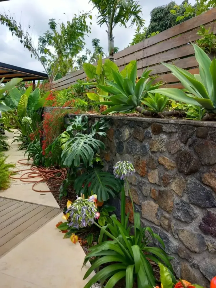 jardin tropical
