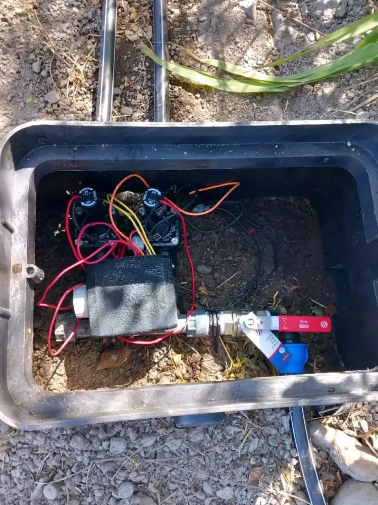 irrigation arrosage automatique