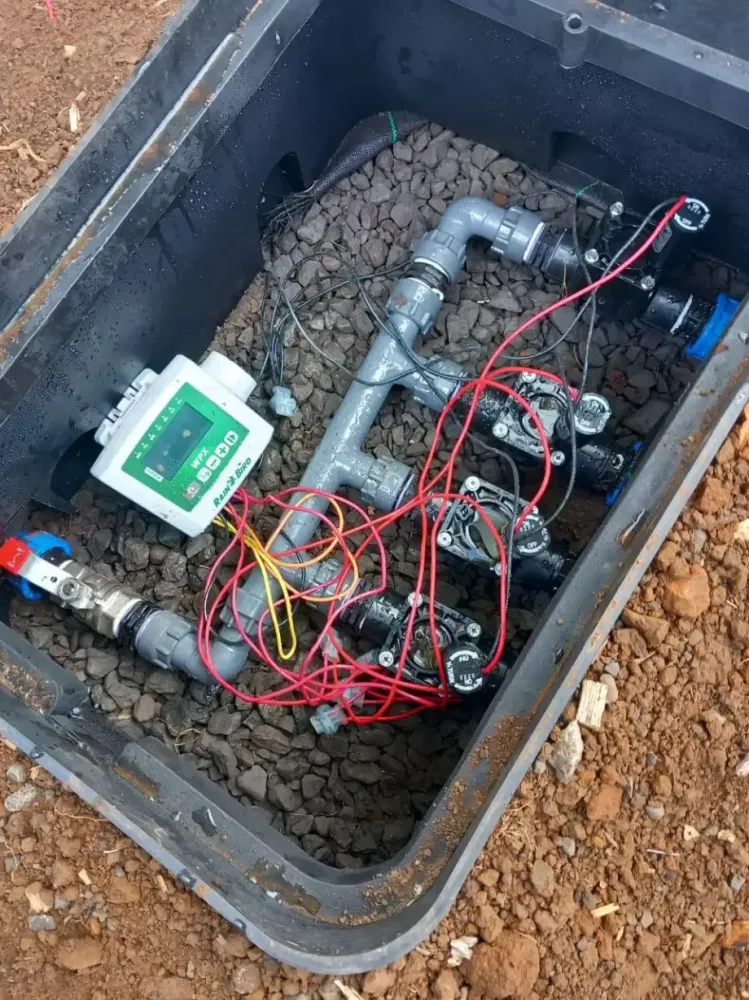 irrigation