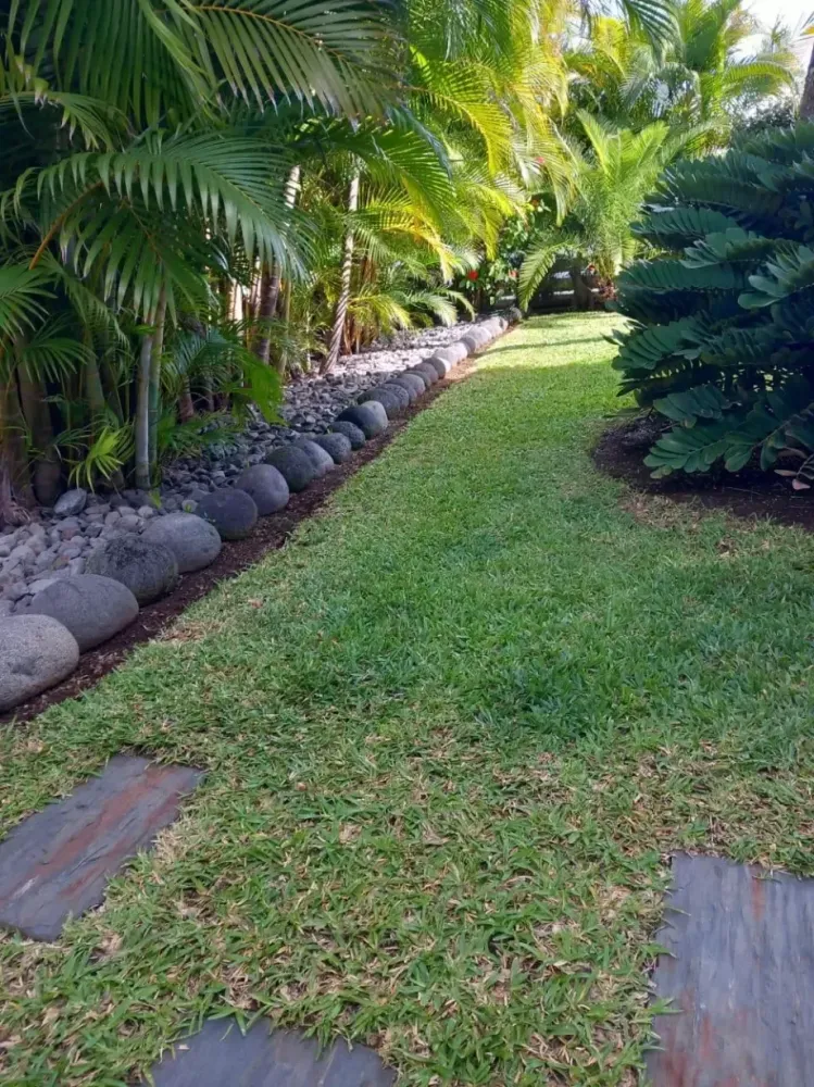 jardin 2
